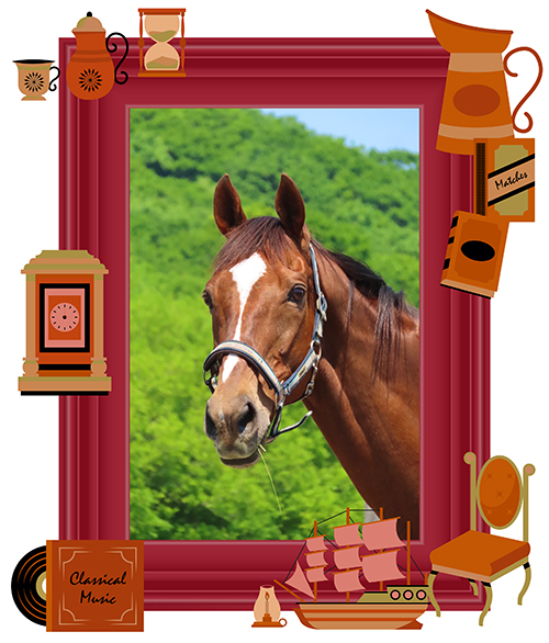 \'09 天皇賞・春を制した長距離重賞の常連は、長すぎる美脚と落ち着いた性格が魅力の王子様に!|マイネルキッツの画像1