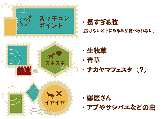 \'09 天皇賞・春を制した長距離重賞の常連は、長すぎる美脚と落ち着いた性格が魅力の王子様に!|マイネルキッツの画像1