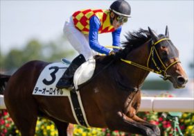 今週はJRA、アメリカ、地方で競馬三昧！万馬券狙いなら絶対にアルゼンチン共和国杯！マスコミが情報公開できない穴馬？