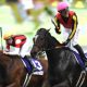 【エリザベス女王杯】東大式鉄則「“飛び石勝ち馬”の負けた後に乗れ!」アートハウス1着固定で一攫千金勝負!【東大式必勝馬券予想】