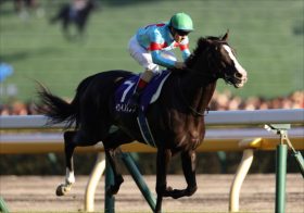 【マイルCS】シュネルマイスターとセリフォスに再戦ムードも…「各陣営の思惑」にヒントが見え隠れ、「関係者が自信を隠さない」注目の穴馬とは