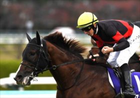 「シュネルマイスターはラストチャンス」マイルCSに懸ける陣営の意気込み。最大の伏兵馬と3歳馬下剋上の可能性