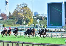 武豊の「アドバイス」が導いた15番人気→10番人気の連勝劇！ プロが語る一介の条件馬が覚醒したワケ
