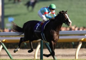 【ジャパンC】イクイノックスとリバティアイランドでは決まらない！2強を負かす可能性あり、トレセンからイチオシの注目馬とは？