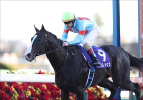 ジャパンC全登録馬を深掘りチェック！イクイノックス、リバティアイランドを上回る適性100点太鼓判の注目馬。藤田菜七子に勝機は？