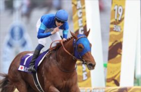 チャンピオンズC「レモンポップは残り100mで止まる？」。G1馬が馬群に沈む決定的根拠＆波乱を呼び込む関西馬とは