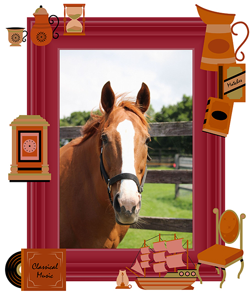 \'08 日本ダービー優勝馬は、種牡馬引退後も人懐っこさ全開で見学客を“見学”しに行くことも！？｜ディープスカイの画像1