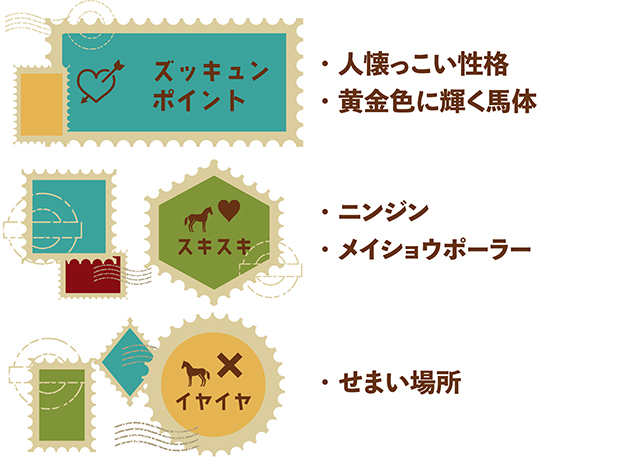 \'08 日本ダービー優勝馬は、種牡馬引退後も人懐っこさ全開で見学客を“見学”しに行くことも！？｜ディープスカイの画像1