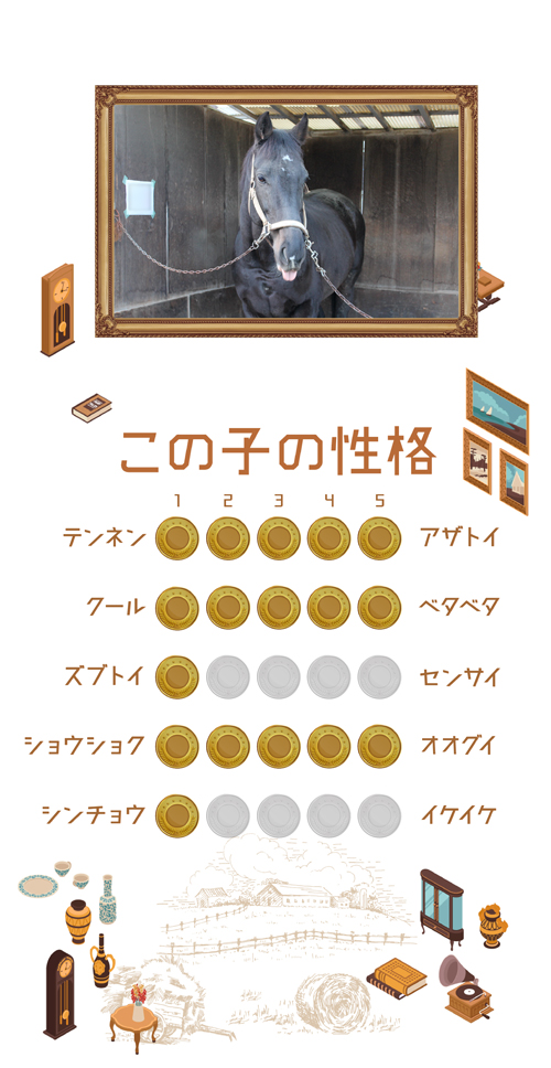 18 小倉記念をレコードで制した「メジロ」の継承者は、人懐っこく落ち着いた性格を活かし、乗馬として活躍中!|トリオンフの画像4