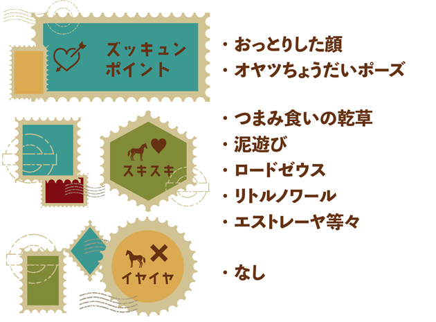 18 小倉記念をレコードで制した「メジロ」の継承者は、人懐っこく落ち着いた性格を活かし、乗馬として活躍中!|トリオンフの画像5