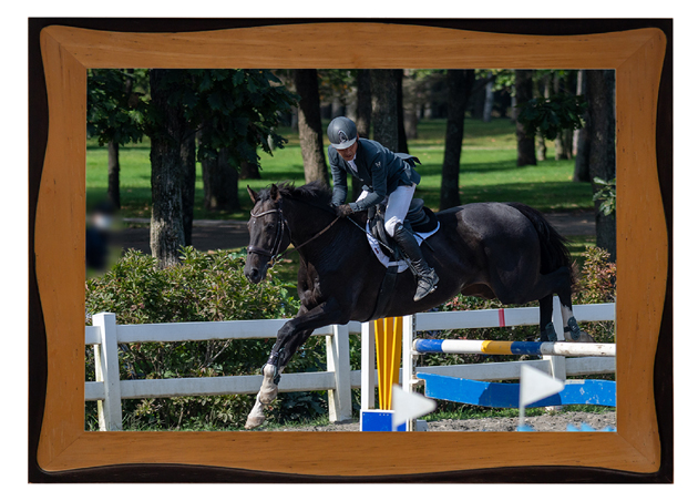 18 小倉記念をレコードで制した「メジロ」の継承者は、人懐っこく落ち着いた性格を活かし、乗馬として活躍中!|トリオンフの画像6