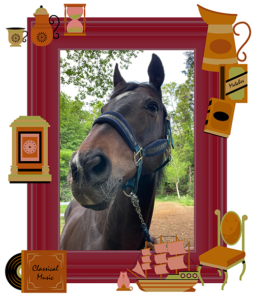 14 毎日王冠を制した「記憶に遺る実力者」は、カメラ目線もバッチリのアザトサMAXホースに!|エアソミュールの画像3