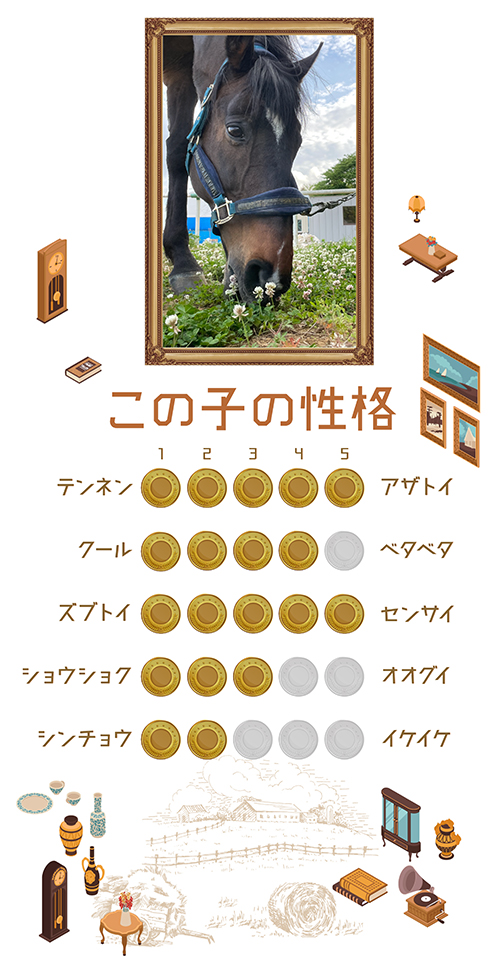 14 毎日王冠を制した「記憶に遺る実力者」は、カメラ目線もバッチリのアザトサMAXホースに!|エアソミュールの画像4