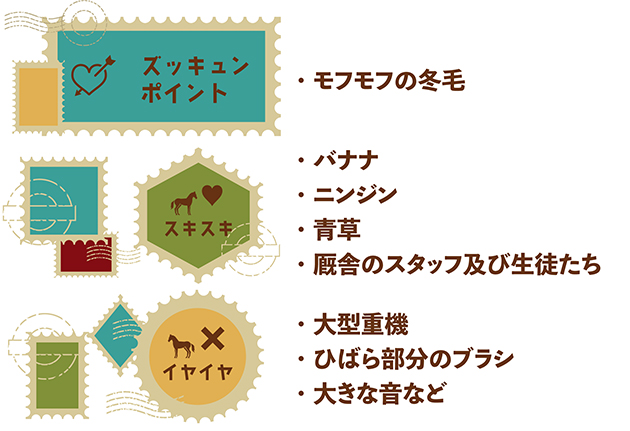 14 毎日王冠を制した「記憶に遺る実力者」は、カメラ目線もバッチリのアザトサMAXホースに!|エアソミュールの画像5