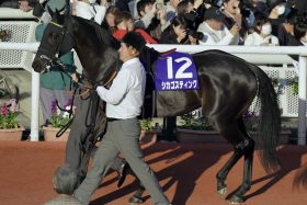 【阪神JF】「一発を狙うなら」12番人気の激走に大物感プンプン!? 「差し馬天国」で逃げて5着が意味するもの