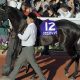 宝くじより朝日杯FS!冬ならではの“2歳G1は宝の山”!グランアレグリアの波乱再び、危険な人気馬シュトラウスは消しか?