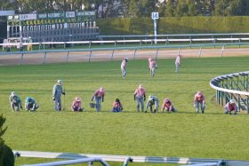 アイビスSD史上2度目の「傘マーク」に8枠神話も崩壊!? 「悲劇のヒロイン」サンアディユ登場から17年