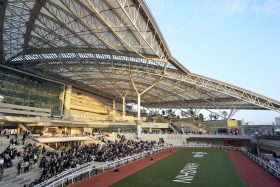 ロマンチックウォリアーは順当も「ダービー2着馬」で最優秀4歳馬、「未勝利馬」でも最優秀ステイヤー!? 香港競馬の意外な年度表彰