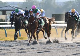 【チャンピオンズC】セラフィックコール、レモンポップの難解な取捨選択…師走の冷えた懐を一気に温める「二冠ジョッキー」厳選の3頭とは