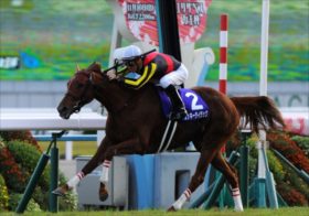 某厩舎の忘年会で阪神JF勝負情報が漏洩？「アスコリピチェーノやコラソンビートには負けない」勝利に自信を見せる意外な穴馬