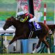 レモンポップ、ウィルソンテソーロで「12戦11勝」の好成績、すれ違いで「コンビ解消」も…大貢献の戸崎圭太を称賛する声