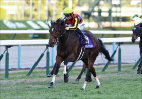 【阪神JF】まさかの事態でC.ルメールをゲット! 歓喜のステレンボッシュ陣営は「アーモンドアイではなくアパパネの再現」を狙う!?