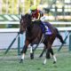 【阪神JF】永島まなみ「めちゃくちゃ悔しい」“踏み遅れ”で元相棒に惜敗…スイープトウショウ孫とG1初挑戦&前走の「リベンジ」へ!