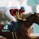 【中日新聞杯(G3)予想】過去の実績馬が「激走」する!3年連続10万オーバーに期待…ヤマニンサルバムやキラーアビリティは切り