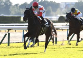 宝くじより朝日杯FS！冬ならではの“2歳G1は宝の山”！グランアレグリアの波乱再び、危険な人気馬シュトラウスは消しか？