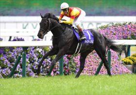 【有馬記念】3連勝中「1番人気」はジャスティンパレスか、スターズオンアースか。昨年覇者イクイノックス不在の大混戦も絶対的軸馬と逆転候補3頭！