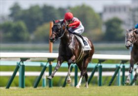 【朝日杯フューチュリティS】ダノンマッキンリー、シュトラウスらノーザンファームの不安要素まとめ、傑出馬不在で急浮上した意外な穴馬