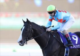 有馬記念、格付けランキング！「これはイクイノックスからのクリスマスプレゼント」「2019年アーモンドアイ大敗の再現」大波乱の予感…絶対買うべき3頭！