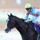 【阪神C(G2)】昨年の“復活劇”と同じジョッキー・勝負服も…復活を期すG1馬3頭、最有力はあの馬?