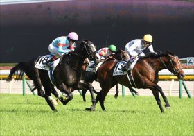 【有馬記念】武豊×ドウデュースの「不安」が語られない裏事情!? 競馬界の“王様”の意向で、かつての名門も廃業寸前…歪められた情報が飛び交うワケ