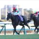 中山大障害(G1)「3勝クラス並み」の馬券売上に愕然…「これからのスターに」新王者誕生とジョッキーカメラ初公開に込められた願い