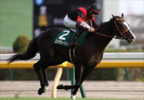 ホープフルS「有馬記念の裏仕掛け」！マスコミ取材は疎か…激走穴馬での馬連3点勝負！