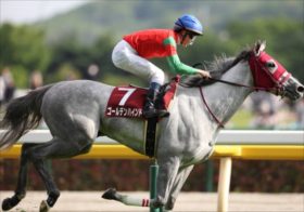 「憧れるのをやめましょう」2024年は本気で競馬の勝ち組を目指す。まずは中山金杯・京都金杯をダブル制覇だ！