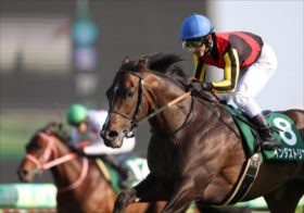 なぜ武豊×ドウデュースの復活を見抜けたのか？競馬界のドリームチームが語った有馬記念の裏事情、そして金杯にも衝撃の裏事情がある…