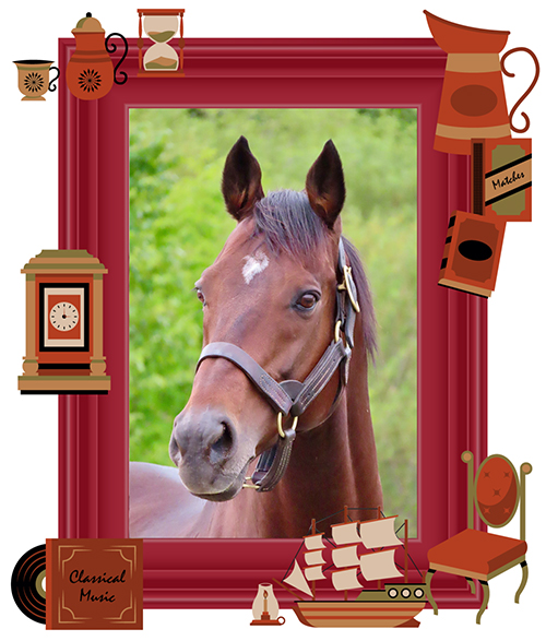 ナカヤマフェスタ|10 宝塚記念を制した、世界を驚かせた名馬は、愛嬌たっぷりの変顔看板ホースに!の画像3