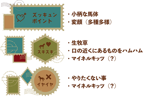 ナカヤマフェスタ|10 宝塚記念を制した、世界を驚かせた名馬は、愛嬌たっぷりの変顔看板ホースに!の画像5