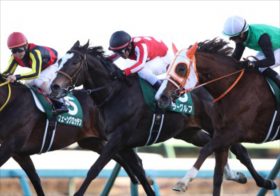 金杯＆正月競馬で的中の秘訣は『馬主の本音』にあり！難易度SSSの中山金杯、穴でも絶対買うべき馬