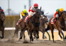 レモンポップもウシュバテソーロも完全無視の地味レース。位置付け微妙の東海Sを「絶対に買うべき」なるほどの理由