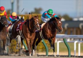 ヴィクティファルスの素質はウシュバテソーロを超えるか？東海Sで新ダート王誕生の意外な条件とは