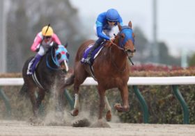 根岸S、『レモンポップもドライスタウトもいなければ勝ち負け』と鼻息が荒くなった某陣営と急浮上の勝負馬！