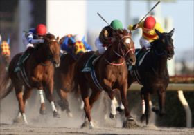 【根岸S】サンライズ軍団の新星が出陣！素質は兄ドライスタウト以上？4連勝中サンライズフレイムに感じる無限の可能性