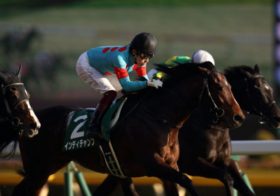 【東京新聞杯】府中のマイル重賞で激走する穴馬の法則。マスクトディーヴァではない、該当する2頭の激走候補！