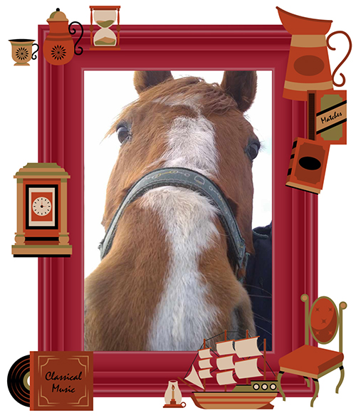 ロードクロノス｜01 中京記念を制した、名牝・シンコウラブリイの初仔は、29歳になっても食欲旺盛な健康優良児に！の画像3