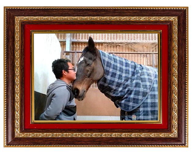 ツルマルボーイ｜\'04 安田記念を制した豪脚の持ち主は、独占欲強めで嫉妬もしちゃう、個性豊かなタレント馬に！の画像1