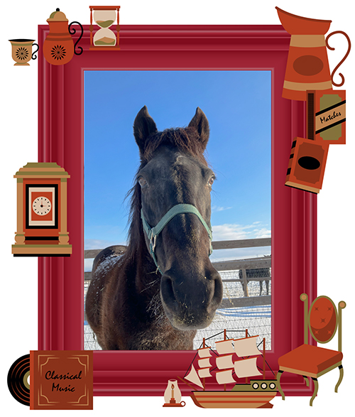 インティライミ|07 京都大賞典を制した「05世代」の逸材は、仔馬たちを優しさで包み込むリードホースに!の画像3