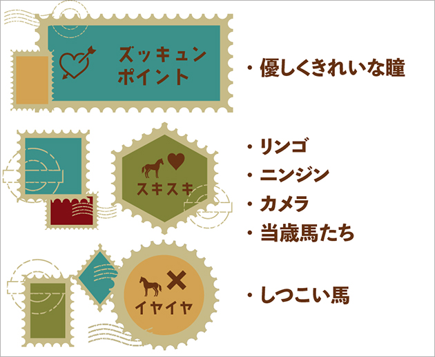 インティライミ|07 京都大賞典を制した「05世代」の逸材は、仔馬たちを優しさで包み込むリードホースに!の画像5